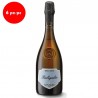 Malvasia Secca “Rubigalia” Colli Scandiano e Canossa D.o.p