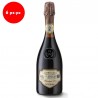 Lambrusco Grasparossa Dop  “Remigio 100”