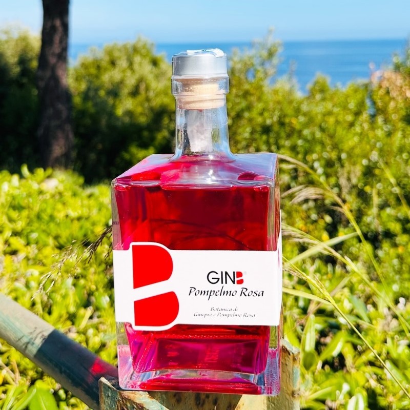 GINB Gin Tonic Pompelmo Rosa  700 ml - B69 Scaglia d'oro srl